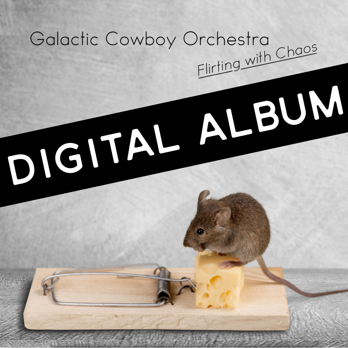 "Flirting with Chaos" Digital Album