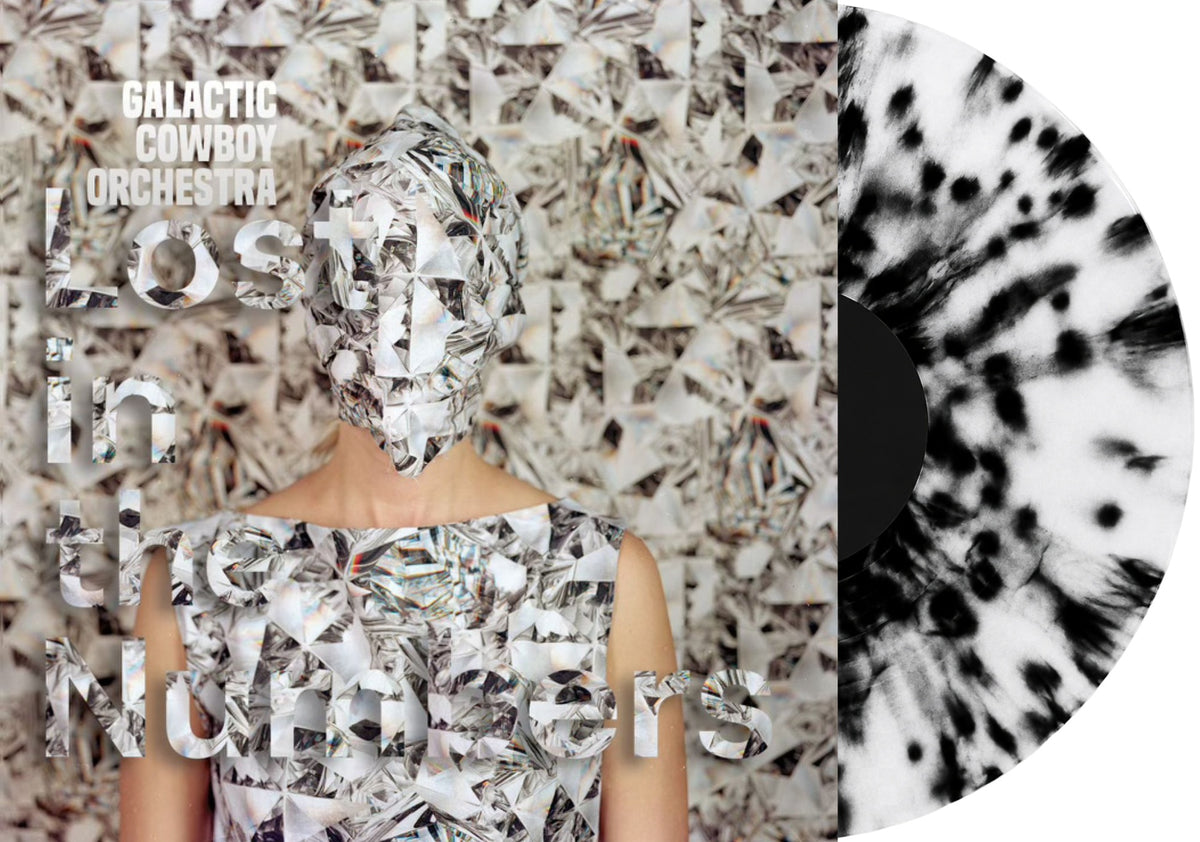 PRE-ORDER "Lost in the Numbers" Vinyl