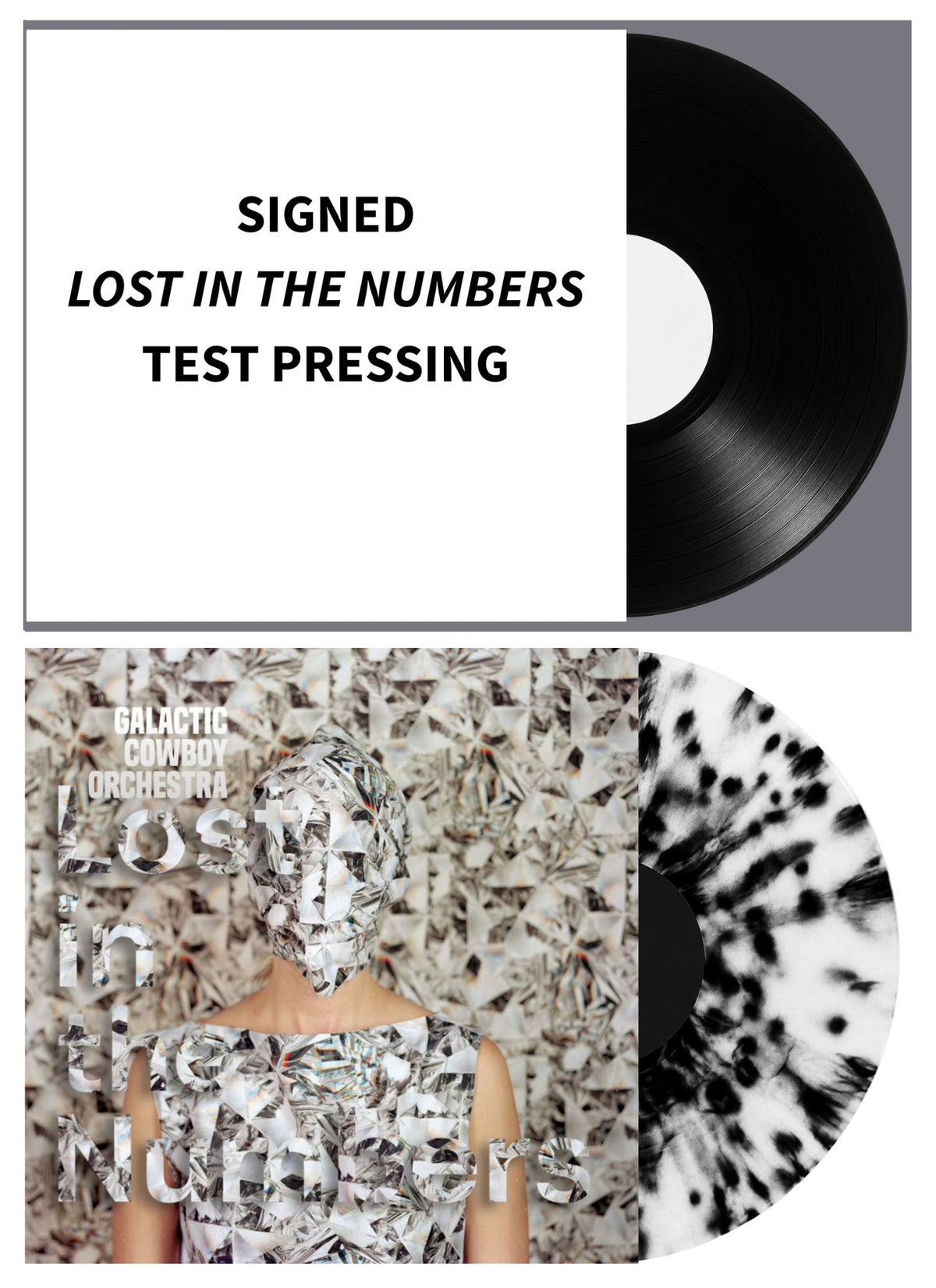 PRE-ORDER "Lost in the Numbers" Vinyl